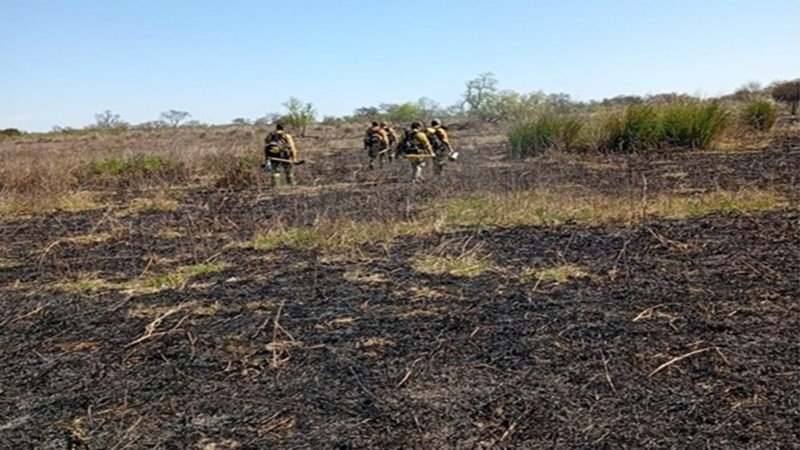 Entre Ríos desplegó un operativo de monitoreo y control por incendios forestales en el ejido de Victoria