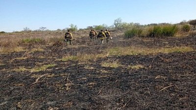 Entre Ríos desplegó un operativo de monitoreo y control por incendios forestales en el ejido de Victoria